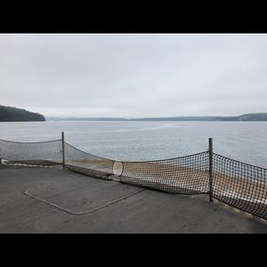 Meet your Posher, Alli